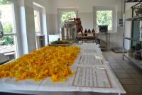 Ca' Dei Fazzilisti - B&B