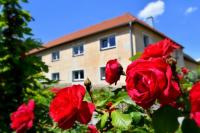PENZION a FARMA NA BORŮVKOVÉM VRŠKU - B&B