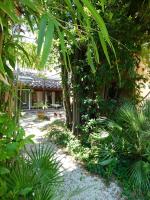 Appartamento con piscina immersa nel verde - B&B