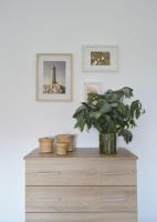 Apartamento de 3 dormitorios - Primera planta