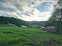 Bungalow con vistas al jardín
