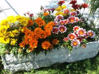 Bed&Breakfast Giardini di Corte - B&B Toscolano-Maderno