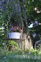 Appartement im alten Pferdestall - B&B Salzhausen
