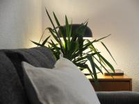 Entre Pinos P1 Beach Apartment - B&B Torredembarra