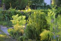 Chambre Double - Vue sur Jardin