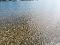 Divkovic Apartements - B&B Medulin