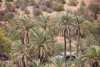 Maison 3 chambres Imi ouaddar - Ferienwohnung Imi Ouaddar