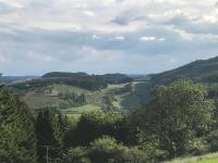 Bildstein's "Kathmandu" - B&B Langenfeld