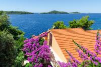 Apartments Ljiljana - B&B Blato