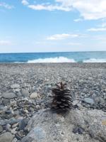 IERRE VATICANO " il piacere dell'accoglienza" - B&B Siderno