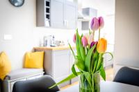 3 Darnborough Street - Ferienwohnung York