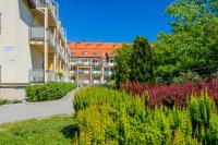 Apartament Madam - B&B Stegna