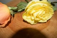 Casa de 2 dormitorios