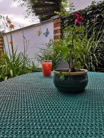 Apartment with Garden View