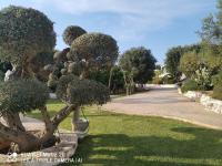 Casetta Letizia - Ferienwohnung Ostuni