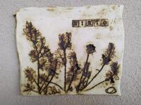 Habitación Individual Superior