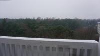 One-Bedroom Apartment with Forest View