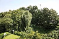 City Apartments Cologne - Apartment 2 - Bed and Breakfast