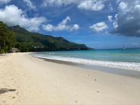 Beau Bamboo - B&B Victoria