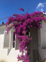 Appartamenti Sterlizia - B&B Lacona