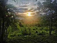 The Lookout Pai - Mountain View Hideaway - B&B Pai