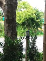 Raina-Suanpa Lung Sood Farmstay - B&B Suphan Buri