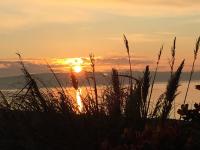 Whitecliff Guest House - B&B Weymouth