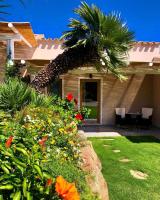 B&B Campionna - Acquamaris Tuerredda - Bed and Breakfast Campionna