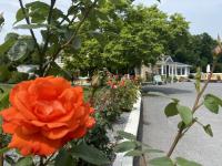 B&B Cashel - copperfield house - Bed and Breakfast Cashel