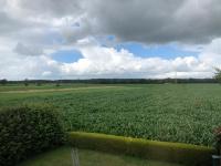 Ferienhaus Ahrensmoor - Ferienwohnung Ahlerstedt