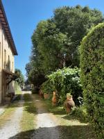 B&B Camaiore - Antica Fattoria La Verdina - Bed and Breakfast Camaiore