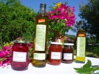 Domaine de la Marseillaise - Ferienwohnung La Crau