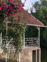 Villa Elita - Bela Crkva - Bed and Breakfast Bela Crkva