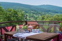 Apartamenty Leśniczówka Salamandra - Bed and Breakfast Świeradów-Zdrój