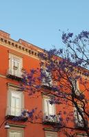 MONART HOSPITALITY Cavour - B&B Napoli