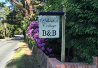 Petherton Cottage Studios - B&B Ringwood