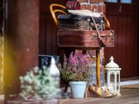 The Shepherd's Purse - B&B Whitby