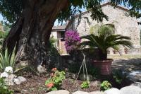 Agriturismo Fellino - B&B Rossano