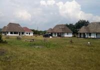 Edward Lake Retreat and Campsite, Kisenyi Village - Chambres d’hôtes Kisenyi