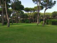Villetta Graziosa sul mare ristrutturata - Ferienwohnung