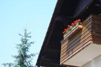 Apartma Vrh - B&B Lesce