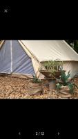 Into the Green Glamping- Beech - B&B Markt Nordheim