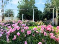 Norrehus - Ferienwohnung Klippan