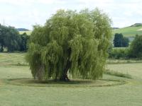 Komfort Ferienwohnung II Wolfhagen - B&B Wolfhagen