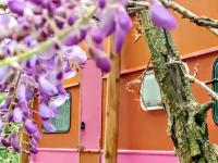 Caravan Higuera