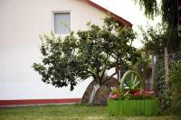 Vila toate Panzele Sus - Ferienwohnung Corbu