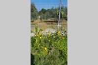 The Sea View House of Xenia and Panos by MPS - B&B Paralia Avlidos