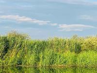 Ausflugsrestaurant & Pension Aalbude & Hausfloßvermietung 15 PS am Kummerower See-Verchen - B&B
