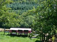 Eifel REBEIGE Gerolstein - B&B Kopp