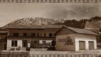 Alpina Appartements - B&B Haldensee